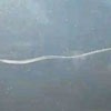 clear scratches100x100 Car Paint Repair