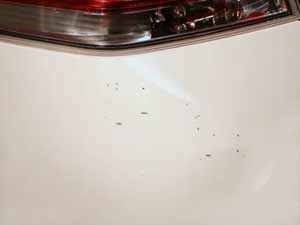 How To Use a Touch Up Paint Pen - Bumper Paint Scratch Repair on a